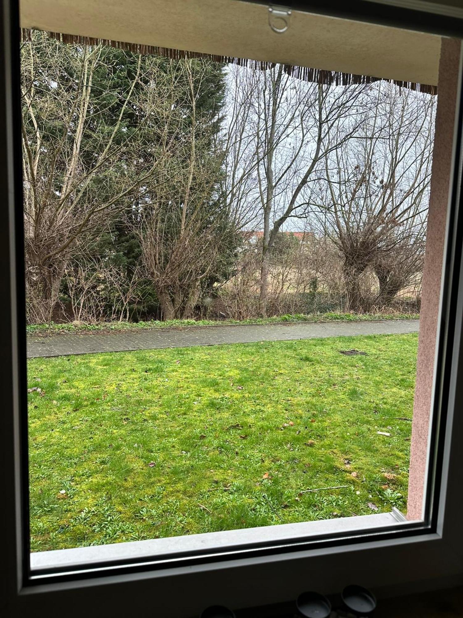 Ferienwohnung Ruhig Und Doch Zentral Erfurt Exterior foto