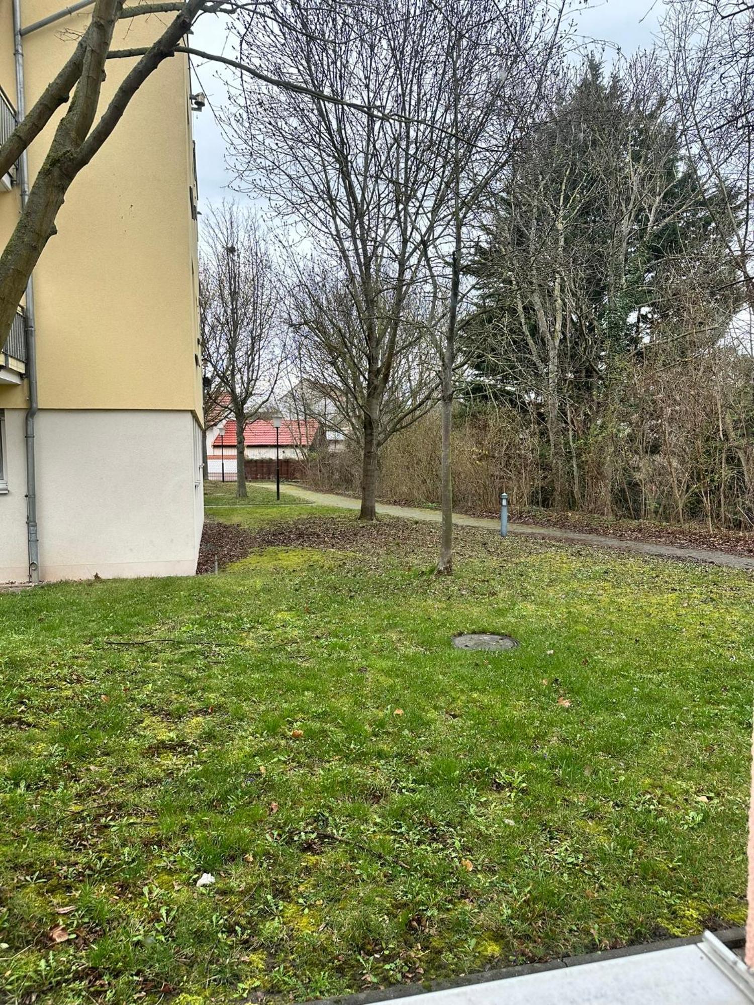Ferienwohnung Ruhig Und Doch Zentral Erfurt Exterior foto